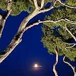 Apartamento Expérience Unique Face à La Et Porquerolles Carqueiranne