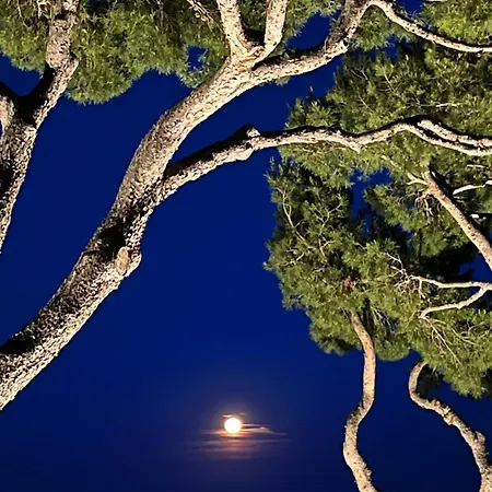 Appartement Expérience Unique Face à La Et Porquerolles Carqueiranne
